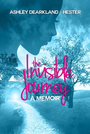 Book cover of The Invisible Journey