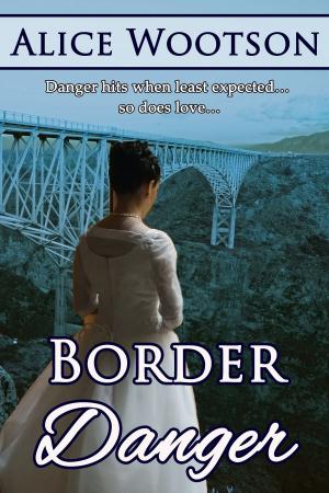 Cover of the book Border Danger by Brooke Williams