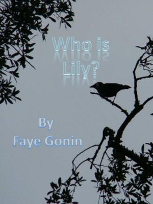 Cover of the book Who is Lily? by S.A. Meyer