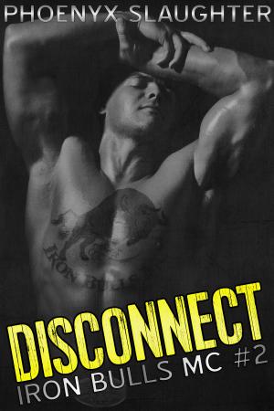 Cover of the book Disconnect (Iron Bulls MC #2) by Roz Lee