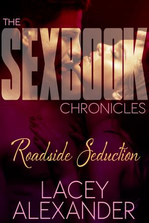 Cover of the book Roadside Seduction by V.L. Locey