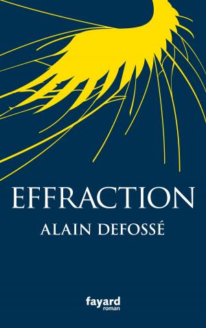 Cover of the book Effraction by Malek Chebel