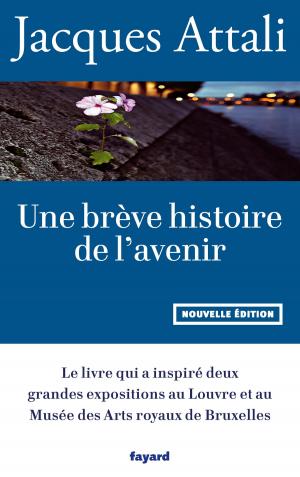 Book cover of Une brève histoire de l'avenir