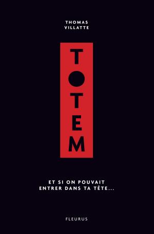 Cover of the book Totem by Nathalie Bélineau, Émilie Beaumont