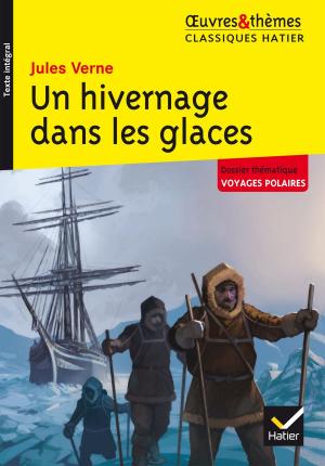 Cover of the book Un hivernage dans les glaces by Alain Couprie, Johan Faerber, Nancy Oddo, Laurence Rauline