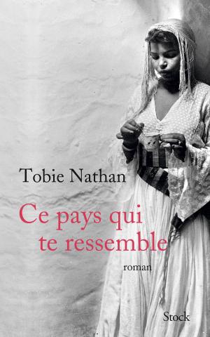 Book cover of Ce pays qui te ressemble