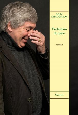 Cover of the book Profession du père by Dominique Fernandez de l'Académie Française