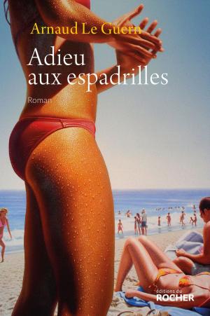 Cover of the book Adieu aux espadrilles by Eugène Green