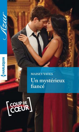 Cover of the book Un mystérieux fiancé by Jackie Merritt