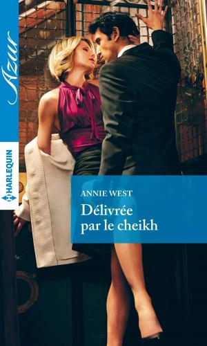 Cover of the book Délivrée par le cheikh by Debra Webb, Carol Ericson, Kimberly Van Meter