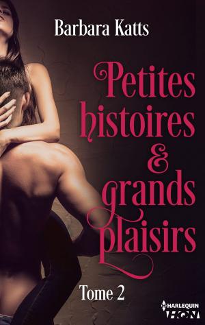 Book cover of Petites histoires et grands plaisirs - tome 2