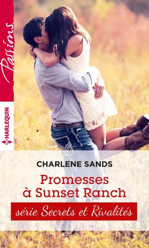 Cover of the book Promesses à Sunset Ranch by Christine Scott