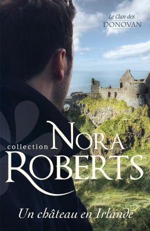Cover of the book Un château en Irlande by Tina Beckett