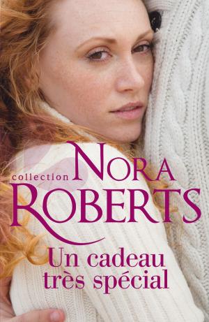 Cover of the book Un cadeau très spécial by Anne Eames