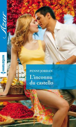 Cover of the book L'inconnu du castello by J. Aleksandr Wootton