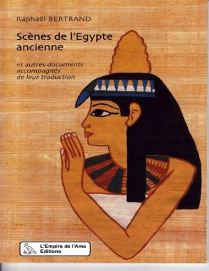 Book cover of Scènes de l'Egypte ancienne