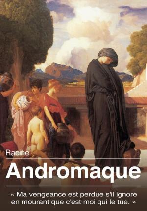 Cover of the book Andromaque by Maurice Leblanc