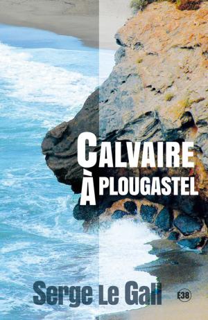 Cover of the book Calvaire à Plougastel by Bernard Grandjean