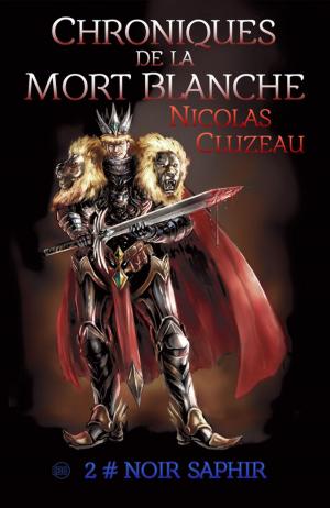 Cover of the book Noir saphir by Gilles Milo-Vacéri