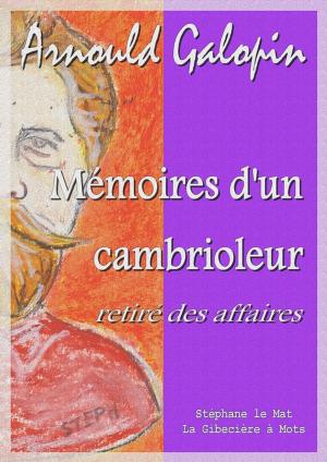 Cover of the book Mémoires d'un cambrioleur retiré des affaires by Pierre Loti