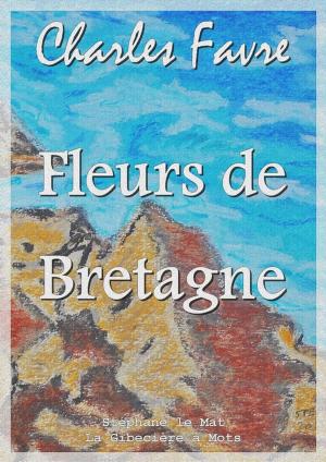 Cover of the book Fleurs de Bretagne by Alphonse Daudet