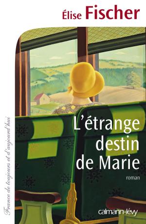 Cover of the book L'étrange destin de Marie by Nathalie de Broc