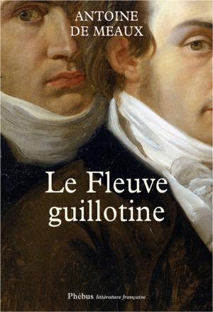 Cover of the book Le Fleuve guillotine by Daniel De Roulet