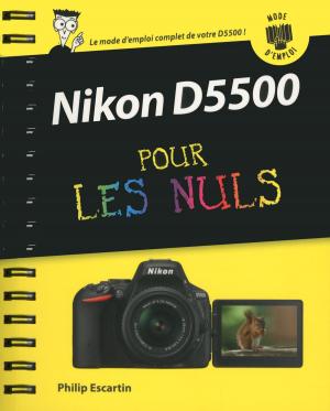 Book cover of Nikon D5500 Mode d'emploi pour les Nuls