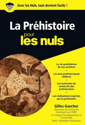 Cover of the book La Préhistoire pour les Nuls, édition poche by Nicolas CONTI