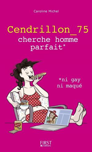 Cover of the book Cendrillon_75 cherche prince charmant, ni gay ni maqué by Nathalie PIERRET, Brigitte LALLEMENT