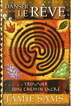 Cover of the book Danser le rêve : Trouver son chemin sacré by Jamie Sams