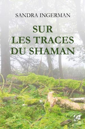 Cover of the book Sur les traces du shaman by Patrick Dacquay