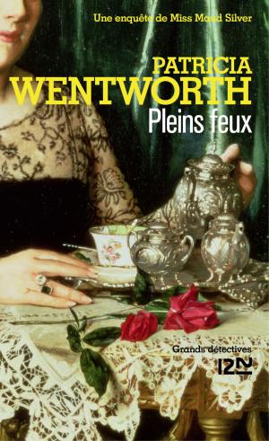 Book cover of Pleins feux