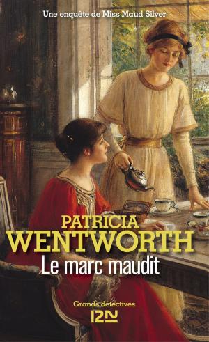 Cover of the book Le marc maudit by Jonathan TROPPER