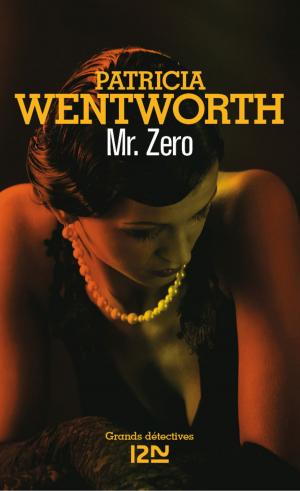Cover of the book Mr. Zero by Diane DUCRET