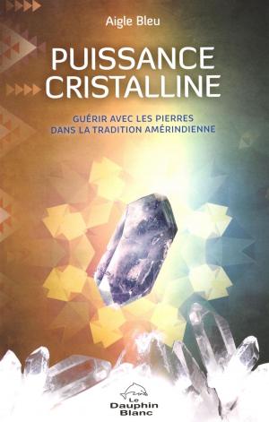 Cover of the book Puissance cristalline by Claire Savard