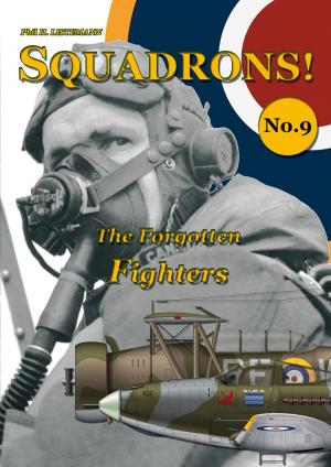 Cover of The Forgotten Fighters