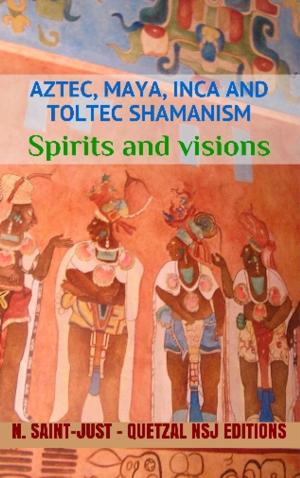 Book cover of Spirits and Visions