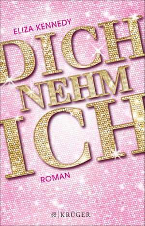 Cover of the book Dich nehm ich by Bernhard Finkbeiner, Hans-Jörg Brekle, Tabea Mußgnug