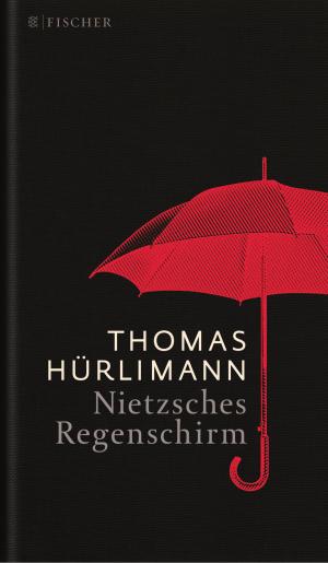Cover of the book Nietzsches Regenschirm by Stefan Zweig