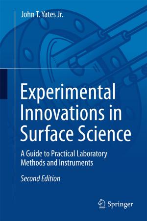 Cover of the book Experimental Innovations in Surface Science by Matthew Wayne Selznick