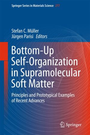 Cover of the book Bottom-Up Self-Organization in Supramolecular Soft Matter by Emily So