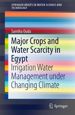 Cover of the book Major Crops and Water Scarcity in Egypt by Milena Büchs, Max Koch