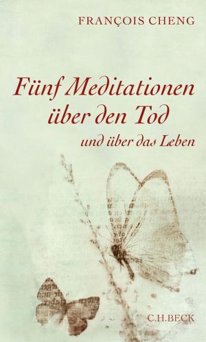 Cover of the book Fünf Meditationen über den Tod by Johannes Bähr