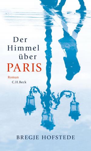 Book cover of Der Himmel über Paris