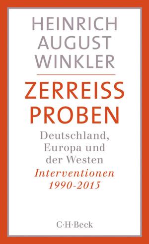 Cover of the book Zerreißproben by Bernhard F. Klinger, Manfred Hacker