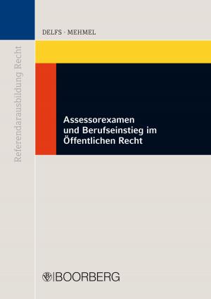 Cover of the book Assessorexamen und Berufseinstieg im Öffentlichen Recht by Marco Massavelli