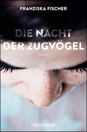 Cover of the book Die Nacht der Zugvögel by Simon Lelic