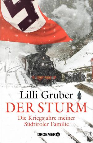 Cover of the book Der Sturm by Jesse Kimmel-Freeman