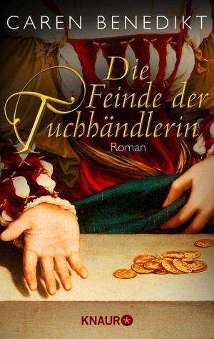 Book cover of Die Feinde der Tuchhändlerin